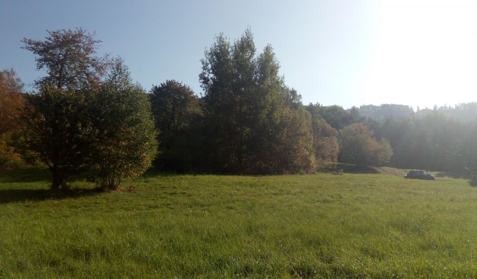 Pripravujeme dražbu pozostatkov rodinného domu Pripravujeme dražbu pozostatkov rodinného domu