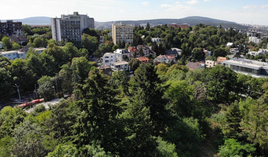 Pripravujeme dražbu lukratívnych pozemkov v Bratislave - m.č. Staré Mesto Pripravujeme dražbu lukratívnych pozemkov v Bratislave - m.č. Staré Mesto