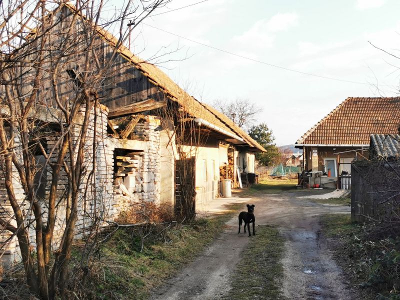 Dva staré menšie rodinné domy s pozemkom 212 m2 Partizánske- Veľké Bielice