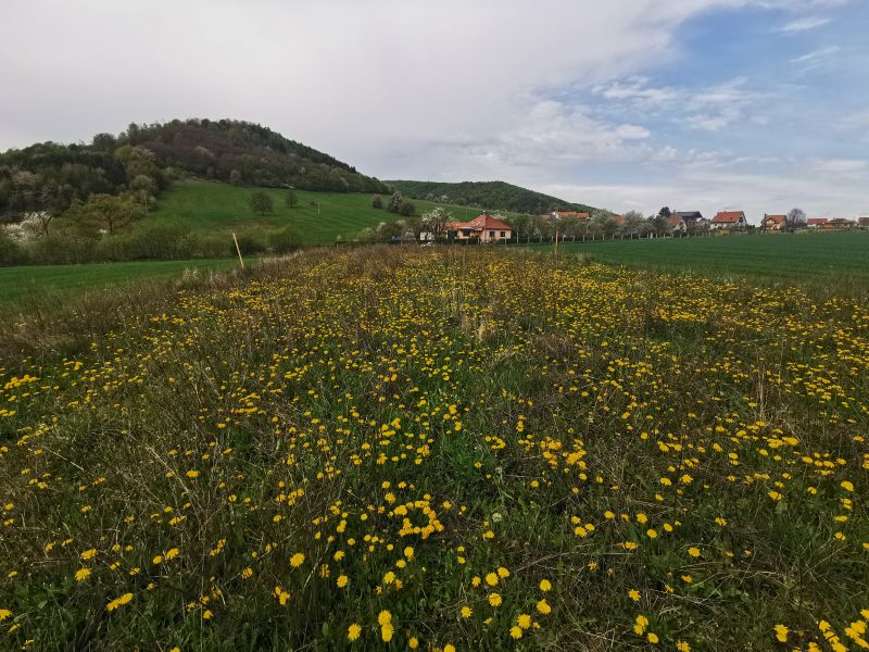  Predaj pozemku v časti Kostolná okres Detva spoločnosťou U9 a.s.