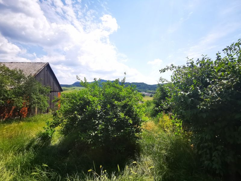 Rodinný dom s rozľahlým pozemkom 1 565 m2 v Lipníku len 7 km od Prievidze