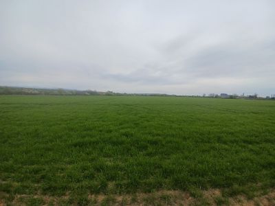 Dražba pozemkov vo Veľkej Ide
