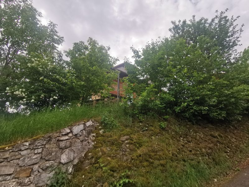 Dražba nehnuteľností v obci Hrušov, okres Veľký Krtíš