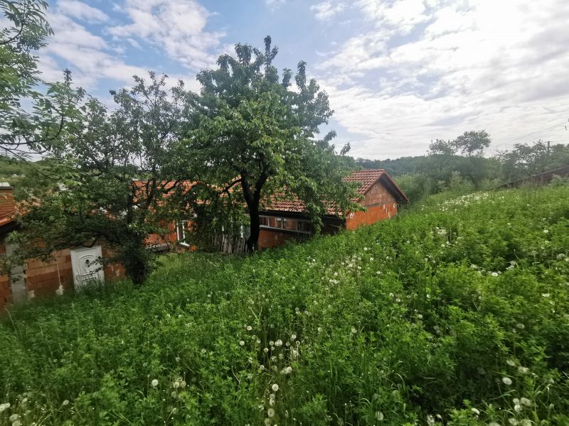 Dražba nehnuteľností v obci Hrušov, okres Veľký Krtíš