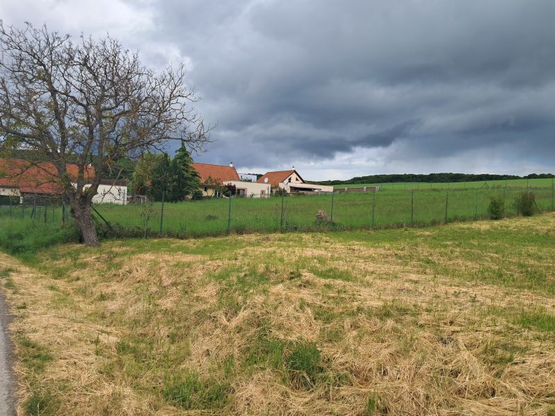 Dražba pozemkov v Olšovanoch 