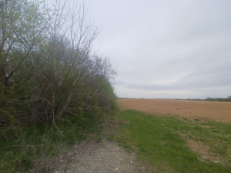 Dražba pozemkov vo Veľkej Ide